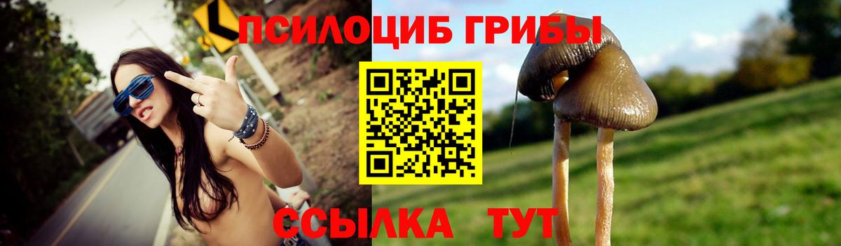 Чусовой  Псилоцибиновые грибы MAGIC MUSHROOMS  Вход с VPN 